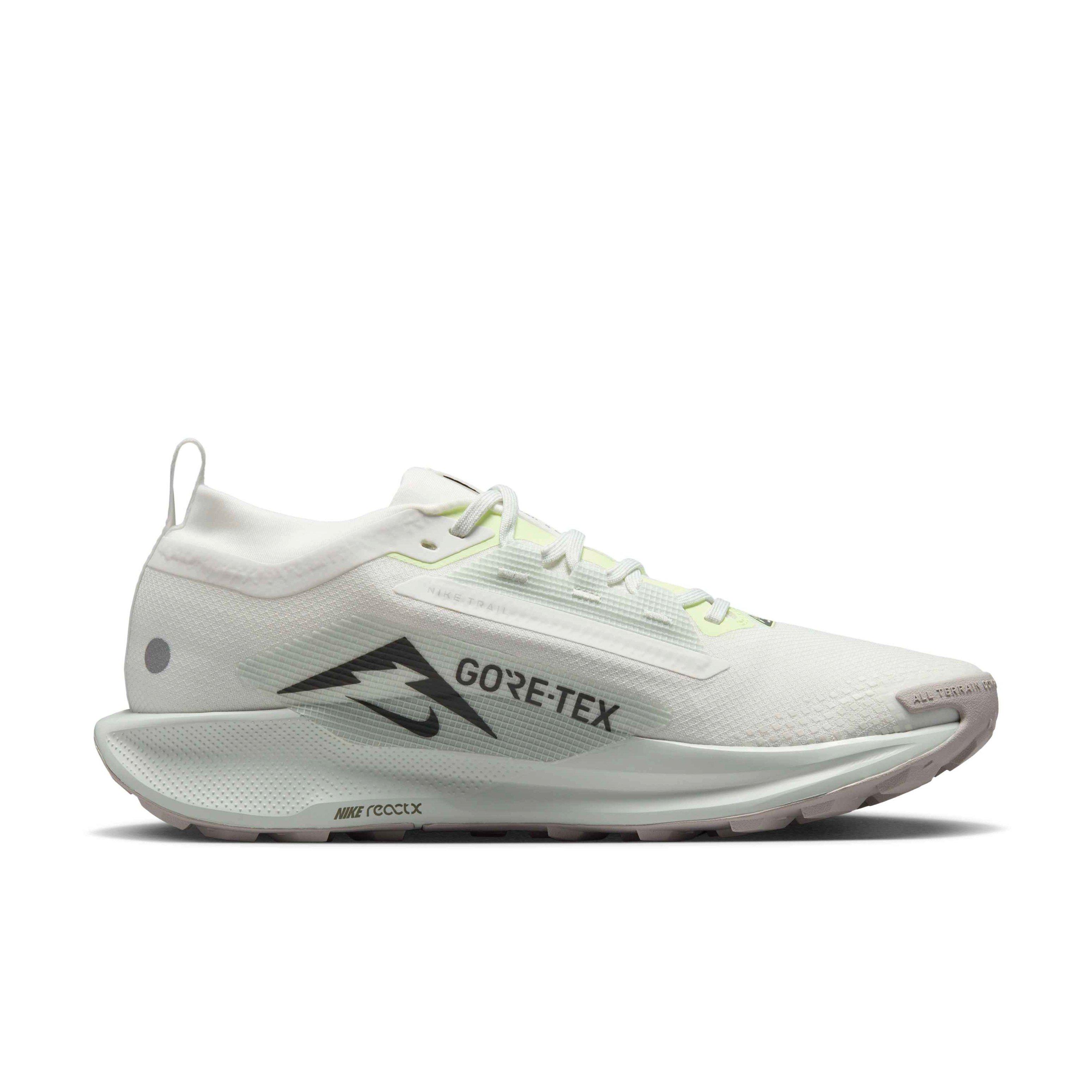 Nike Pegasus Trail 5 GORE-TEX "Summit White/Lt Silver/Grey/Sequoia" Men's Trail Running Shoe